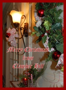 Merry Christmas from Clamber Hill