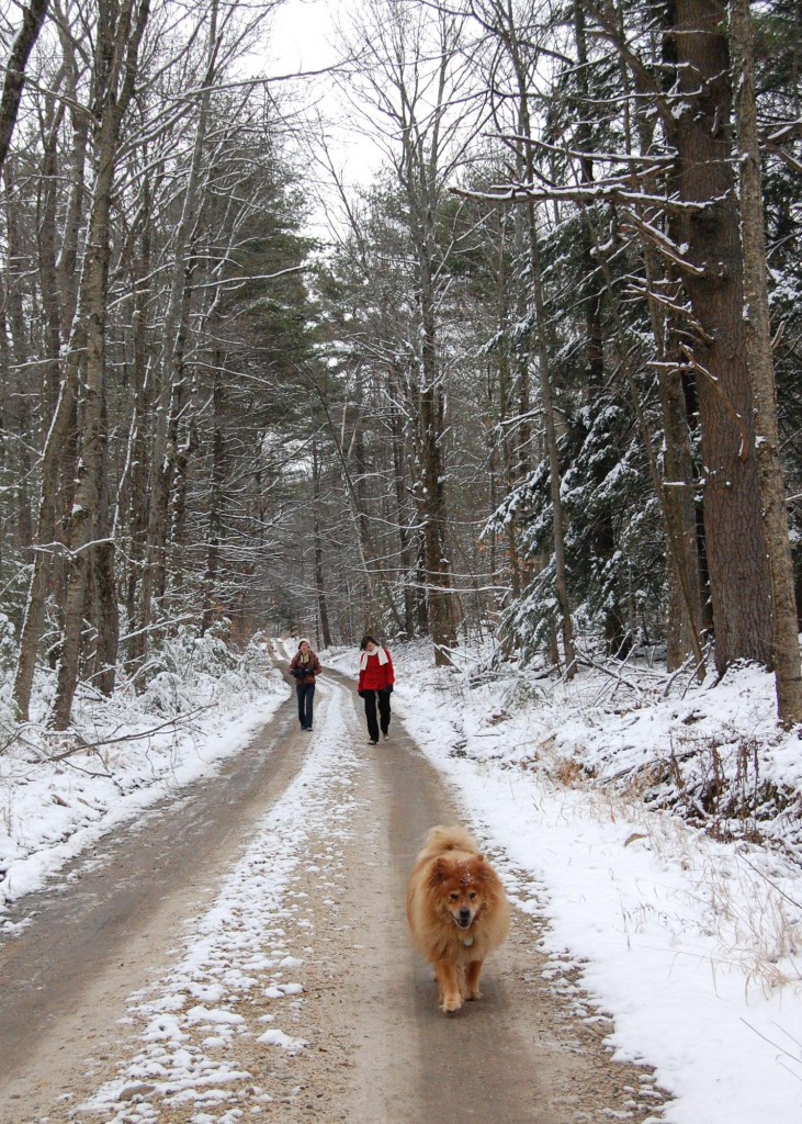 Clamber Hill guests taking a hike in Harvard Forest December 7,2009