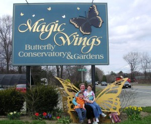 Magic Wings -- a wonderful museum not too far from Clamber Hill