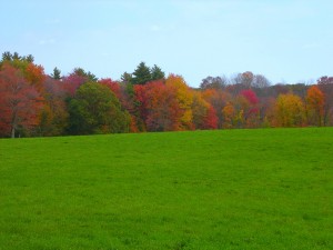 Colorful New England Landscape Colorful New England Landscape