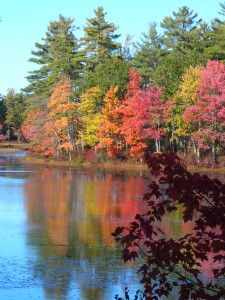 Harvard Pond in Petersham MA, October 2008 Harvard Pond in Petersham MA, October 2008