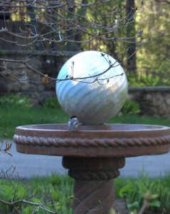 An early spring visitor at the Clamber Hill bird bath