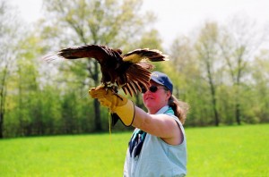 Coming in for a landing