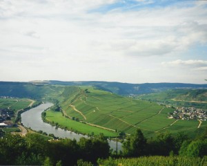 The Moselle (oder Mosel auf Deutsch), a famous German wine region