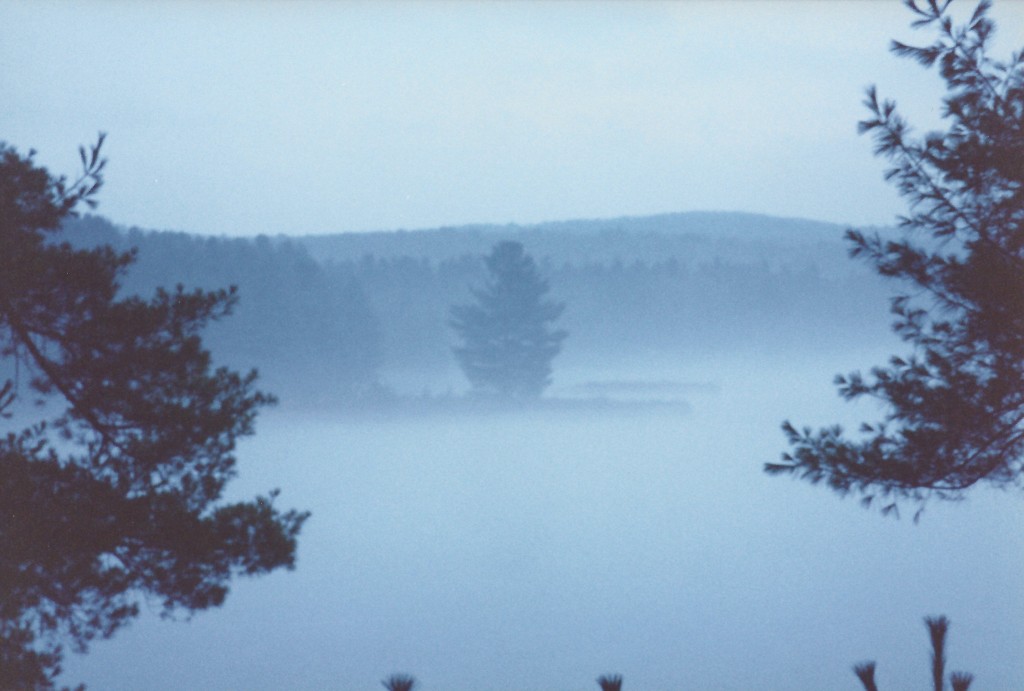 A view of Pottapaug Pond from the lost town of Dana