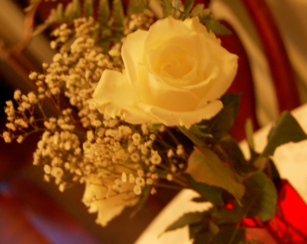 Roses, the modern way to unlock the heart! Roses, the modern way to unlock the heart!