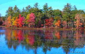Harvard Pond off Rt 122 in Petersham, MA