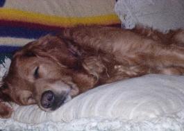 Sam, tired after a long day of innkeeping
