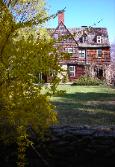 A profusion of Forsythia annouce springtime at Clamber Hill