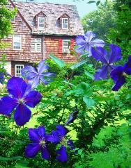 The gardens at Clamber Hill are lovely in the summertime