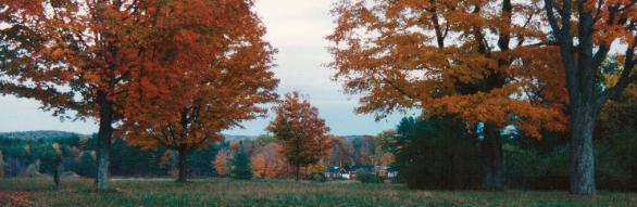 The North Common Meadow, a Trustees of Reservation property in Petersham, MA