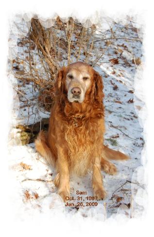 In memory of Sam, Clamber Hill's goodwill ambassador